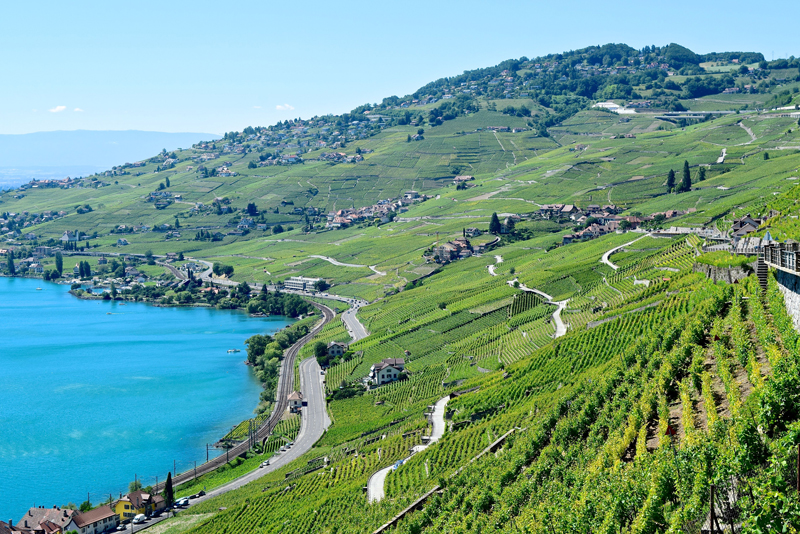 7 Tage in der Schweiz - Dein Reiseplan - Lavaux