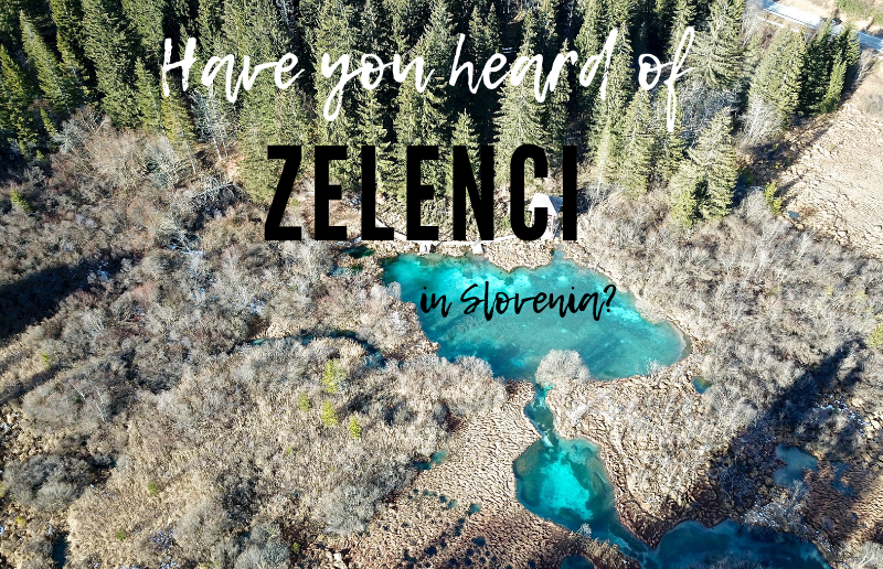 Have you Heard of Natural Reserve Zelenci in Slovenia