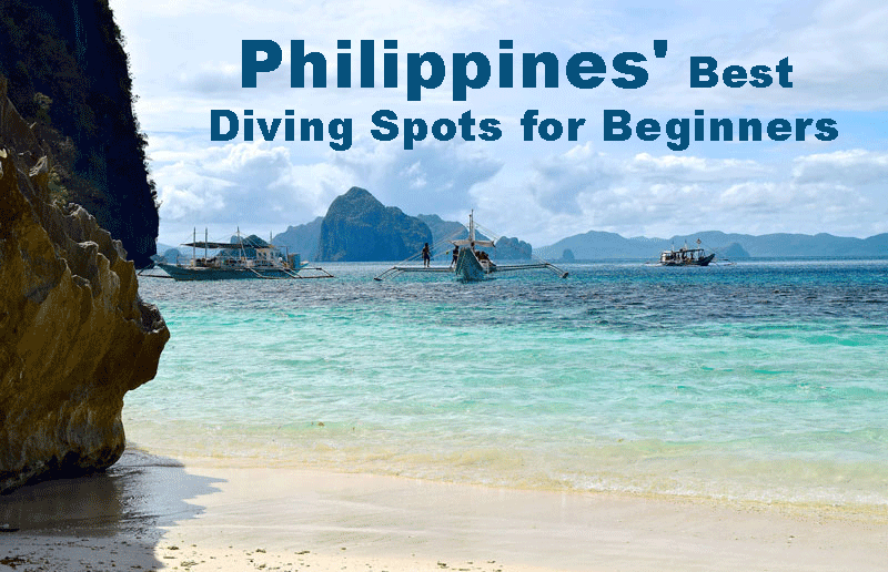 Philippines' Best Diving Spots for Beginners