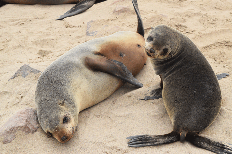 2 Wochen in Namibia - Deine ultimative Reiseroute