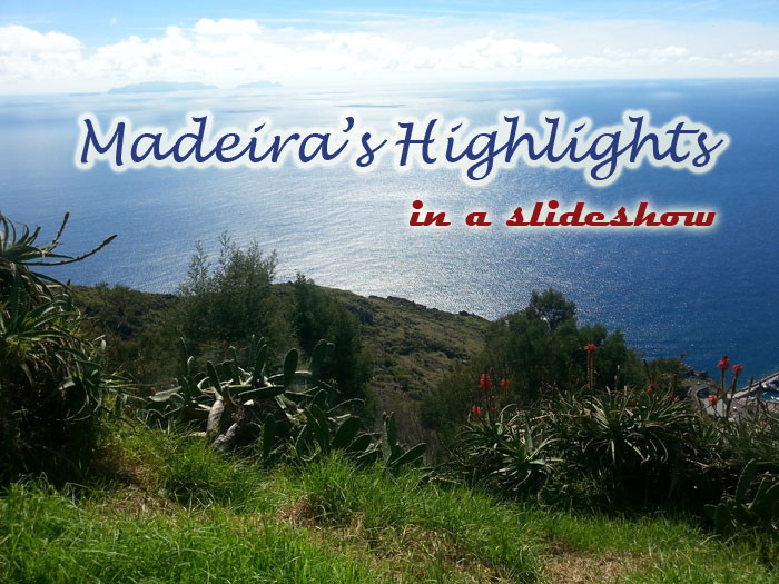 5 Things to Do In Madeira