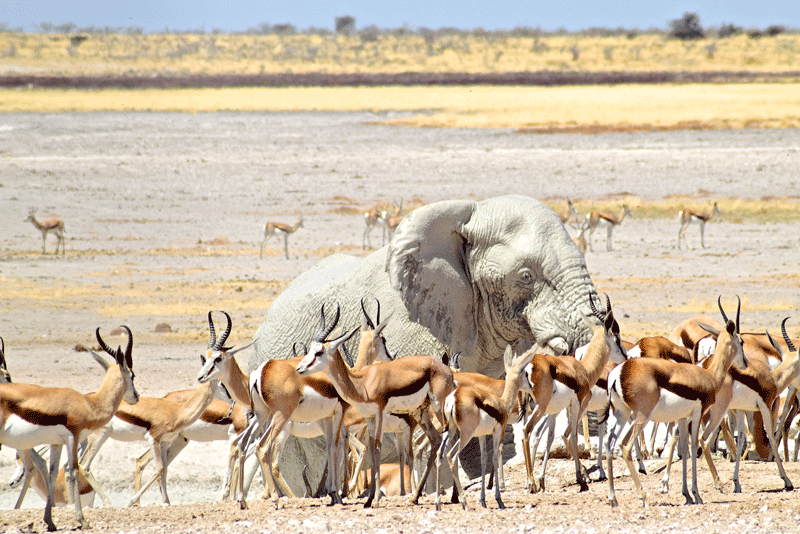 2 Wochen in Namibia - Deine ultimative Reiseroute