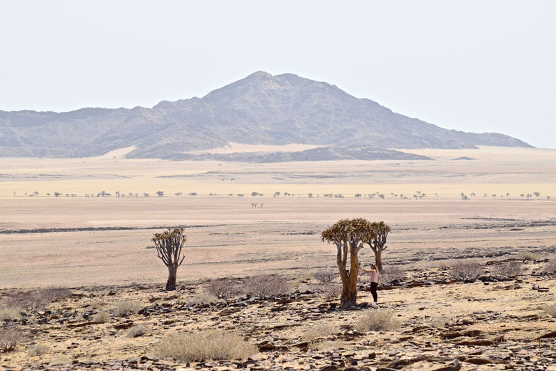 2 Wochen in Namibia - Deine ultimative Reiseroute