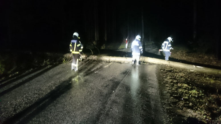 Baum über Straße