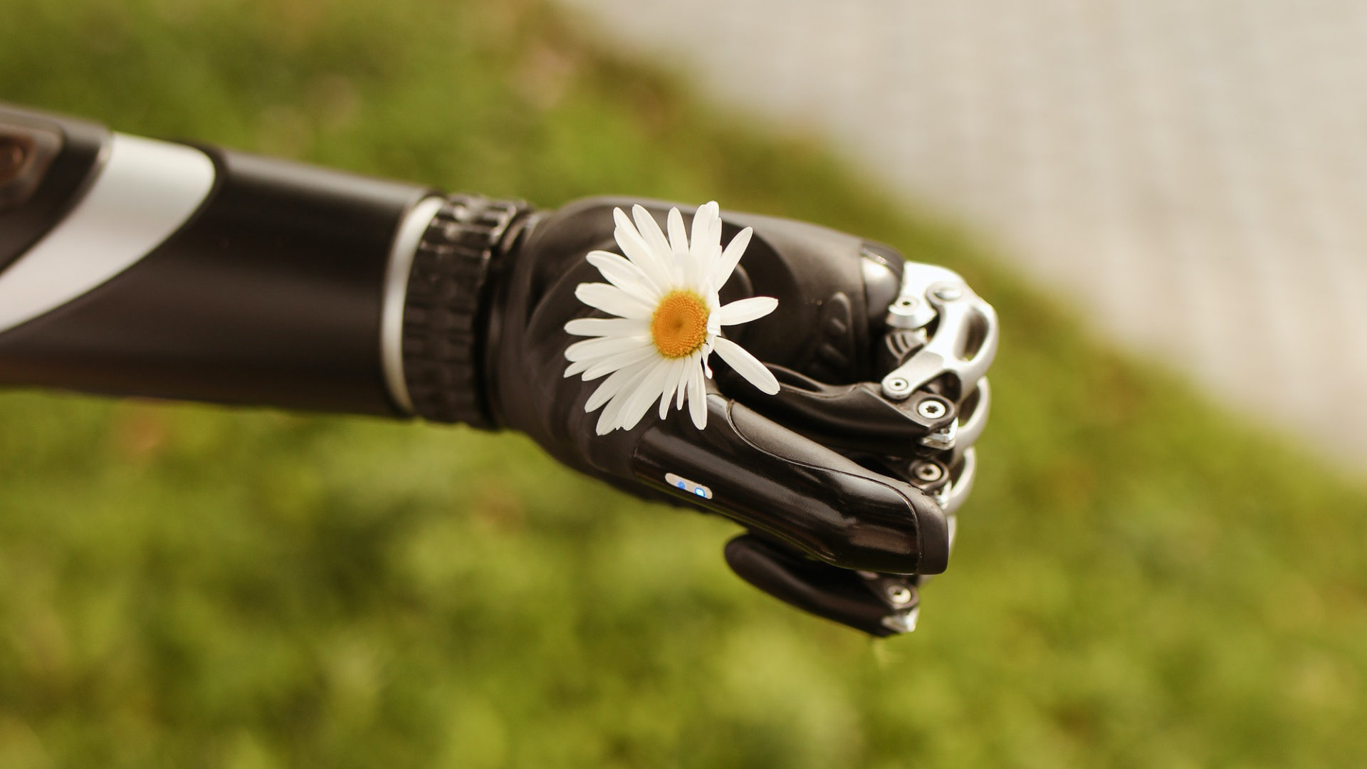 Dauerbrenner Chancengleichheit & Inklusion