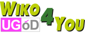 Logo wiko4you