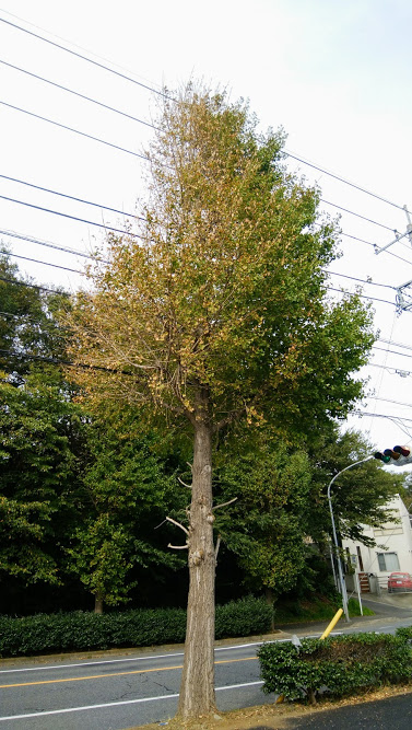 こんなところに台風の影響が・・・