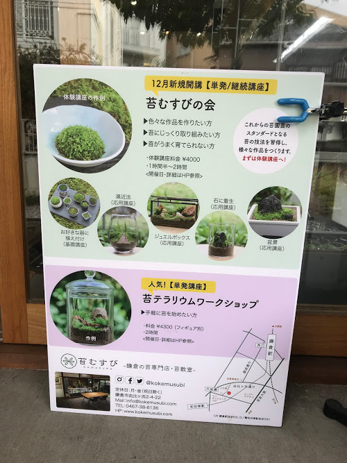 苔テラリウムワ－クショップに行ってきました