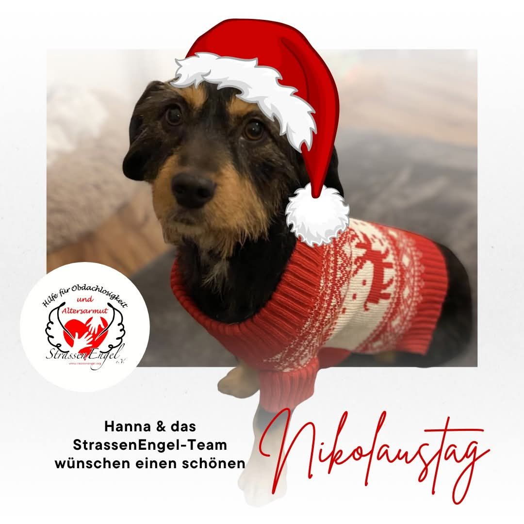 Happy Nikolaus Ihr Lieben