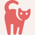 Katzenvermittlungen