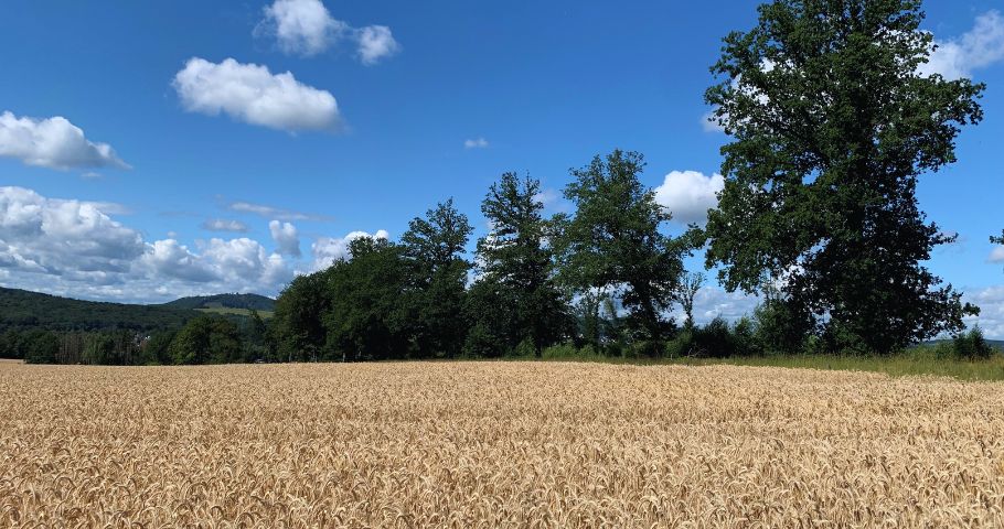 Sorgenfrei leben statt ständig Sorgen machen: Geht das?
