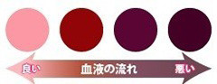 血液の流れ