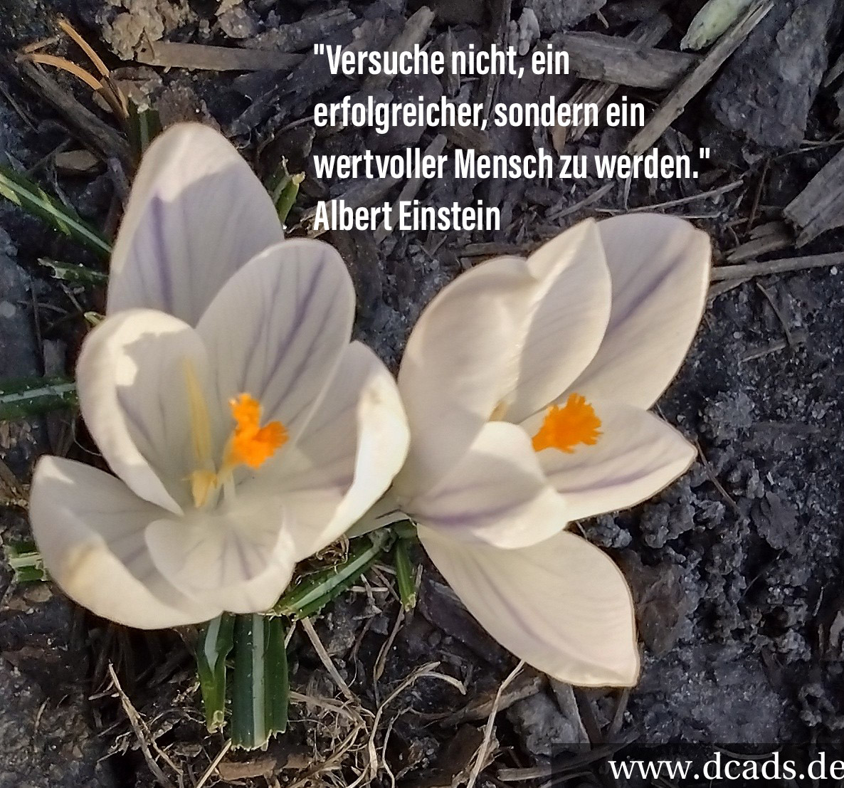 Wie finde ich den richtigen Mitarbeiter für mich