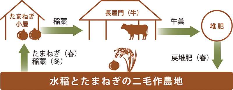 https://image.jimcdn.com/app/cms/image/transf/none/path/sae485ae1abb3829d/image/ie49f775f25a635f6/version/1602675952/水稲とたまねぎの二毛作農地の図.jpg