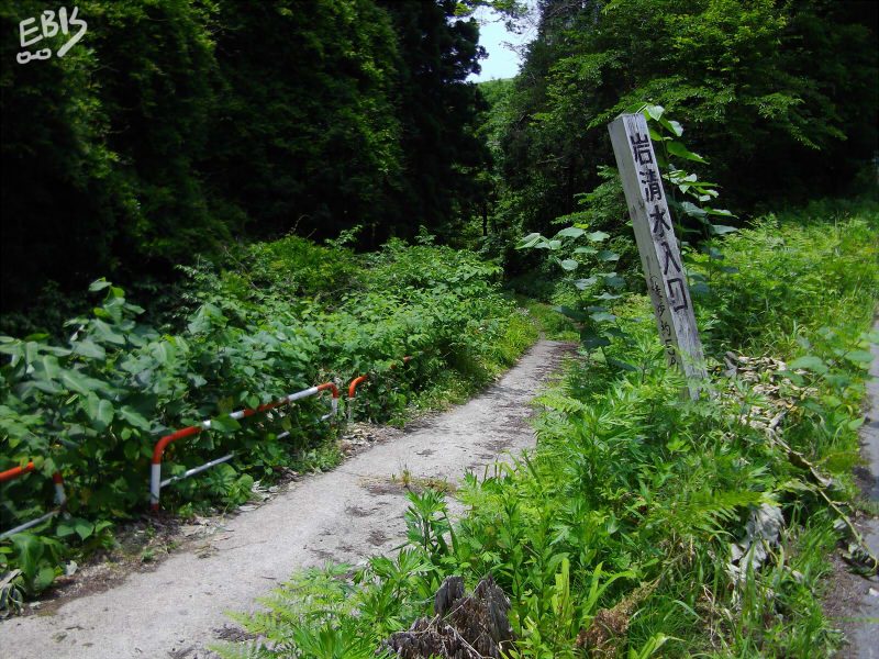 探訪アーカイブ 岩清水 - マスミログ