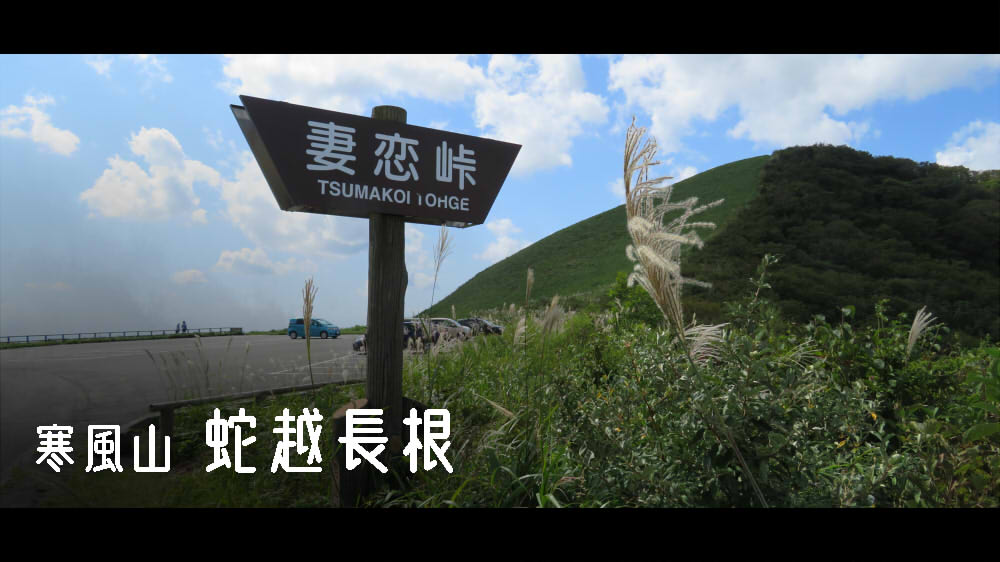 寒風山 蛇越長根