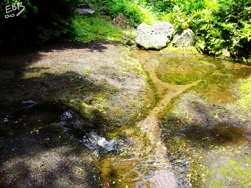 探訪アーカイブ 岩清水 - マスミログ
