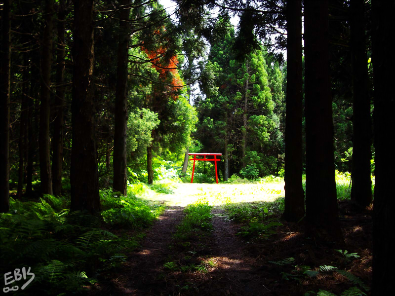 探訪アーカイブ 岩清水 - マスミログ