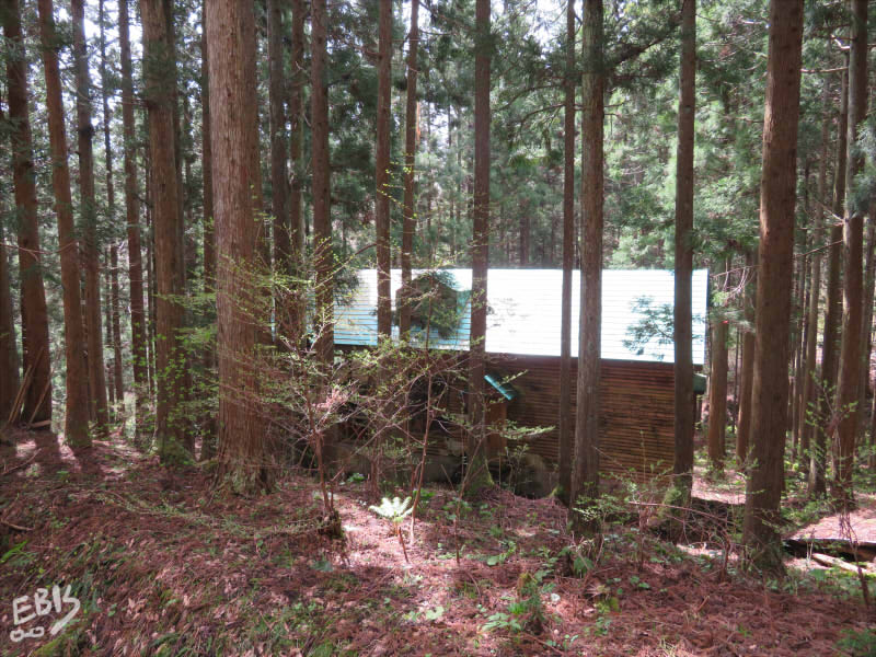 謎の建物