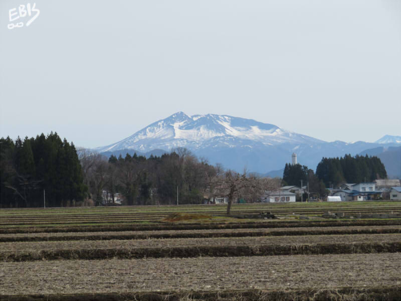 大仙市中仙からみた森吉山