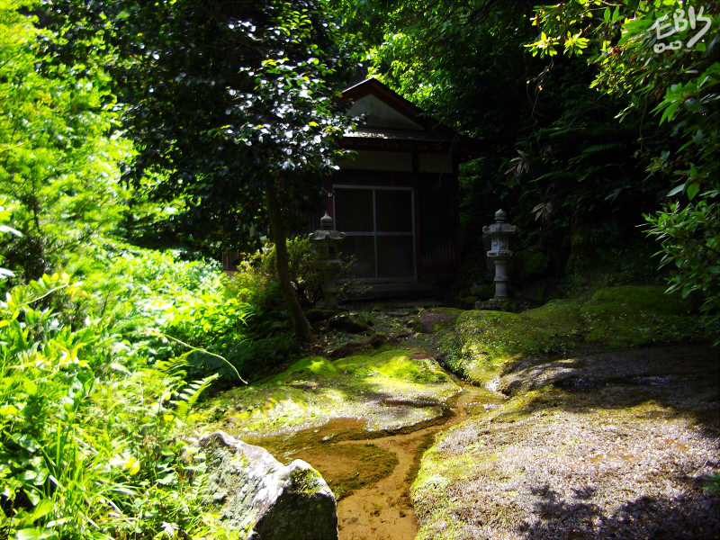 探訪アーカイブ 岩清水 - マスミログ