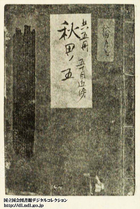 ひなの遊び