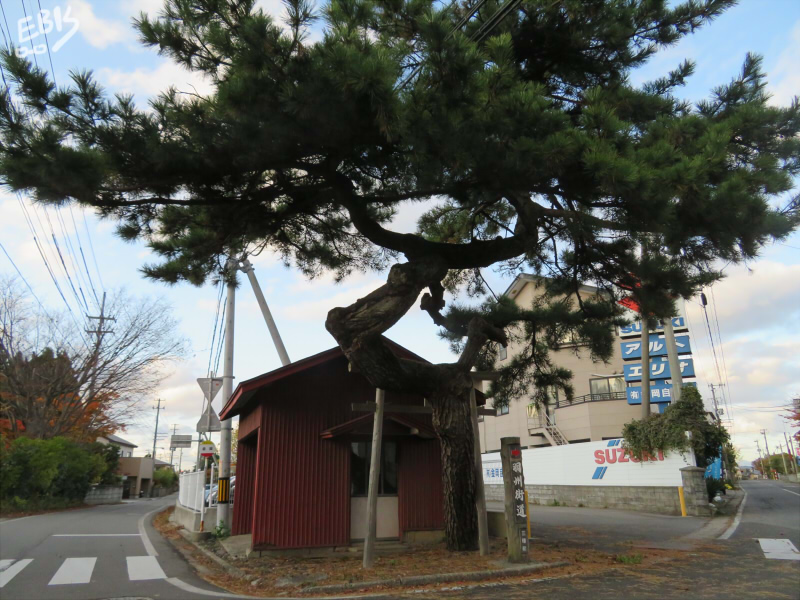 羽州街道分岐（秋田県三種町金光寺野）