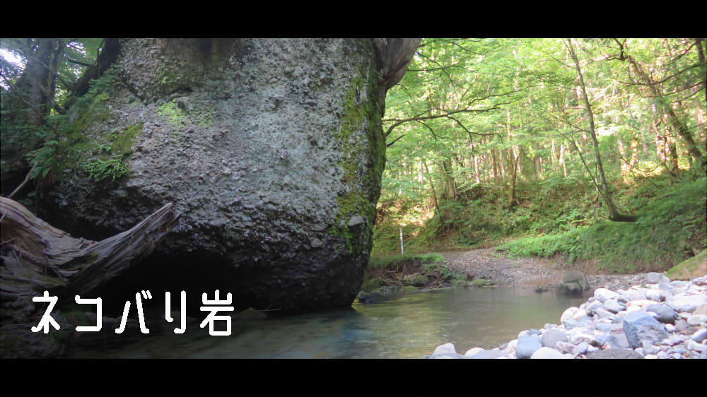 ネコバリ岩