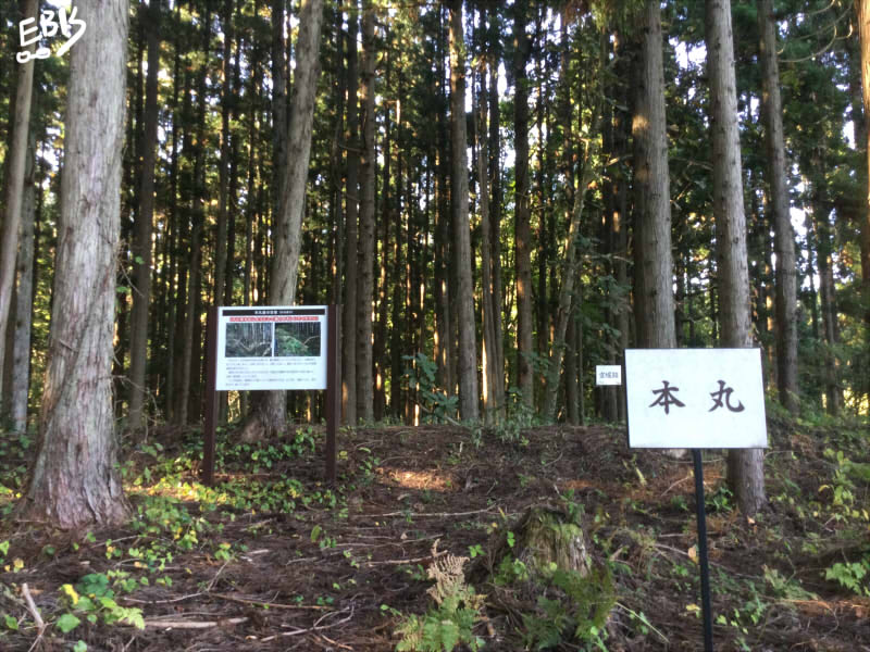 楢岡城（大仙市南外）