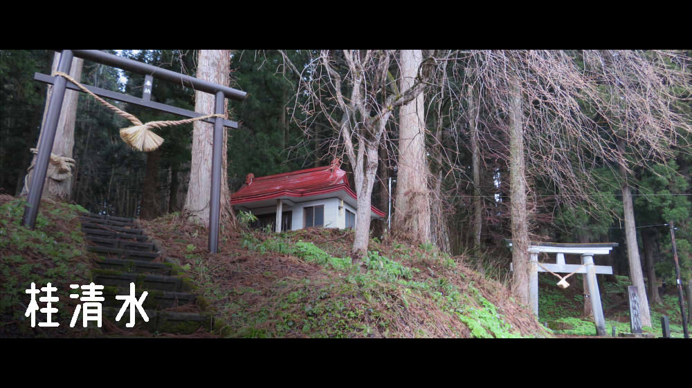 桂清水