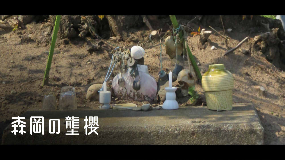 森岡の壟櫻