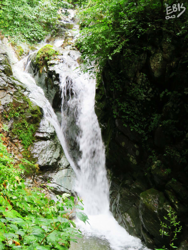 不動の滝(下段)