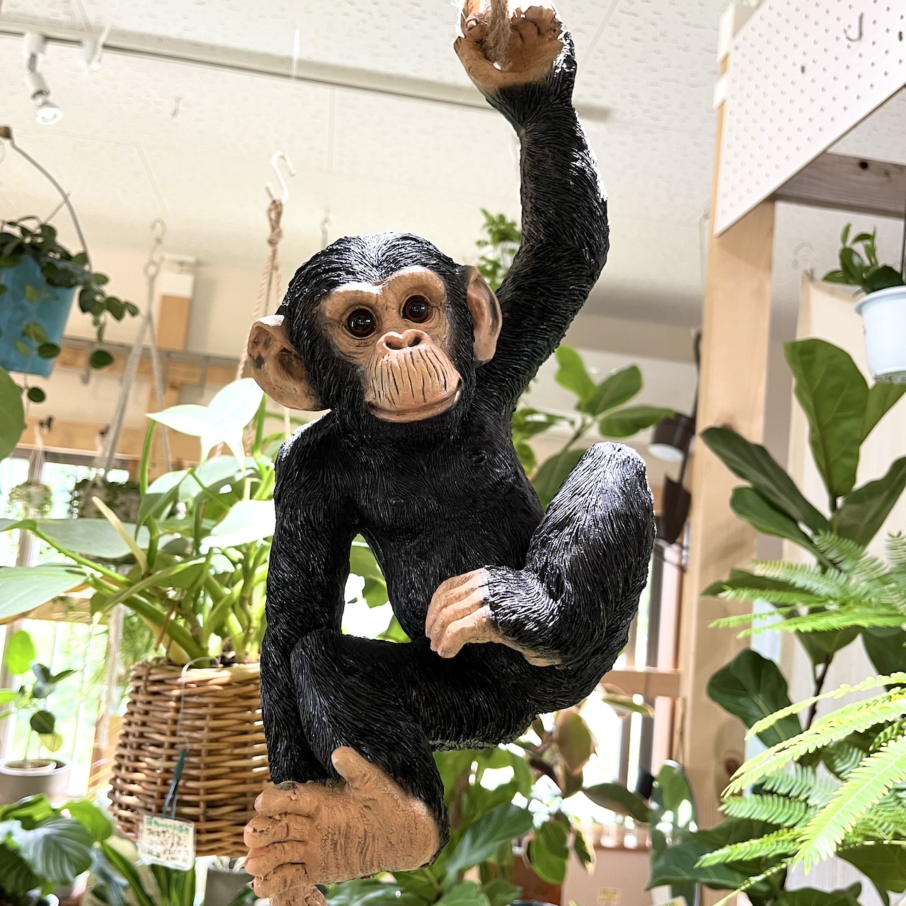 モールアート☆チンパンジー
