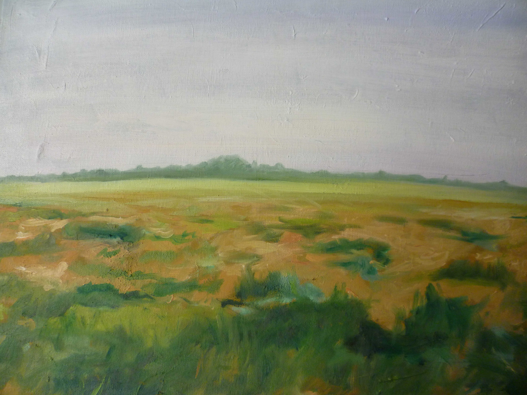 Landschaft (Nordholz), Öl auf Leinwand, 2011, 40 x 50 cm