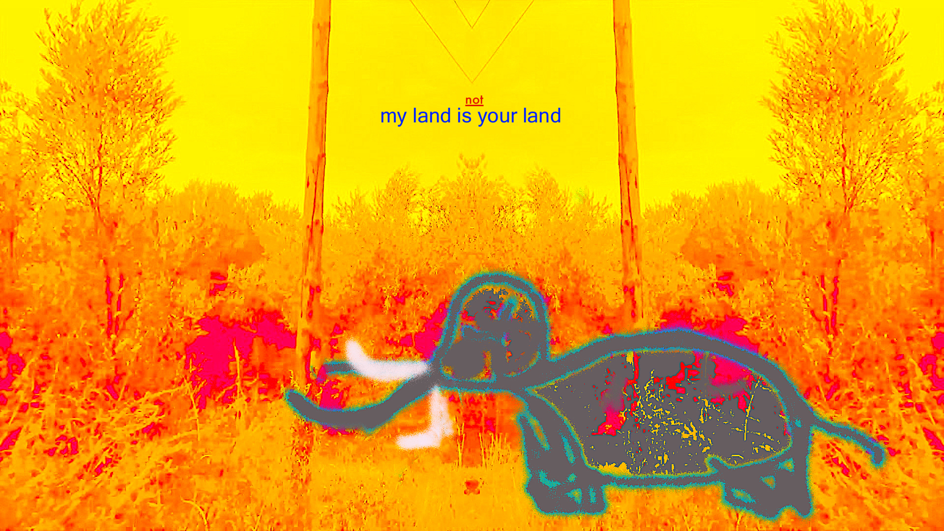 not your world