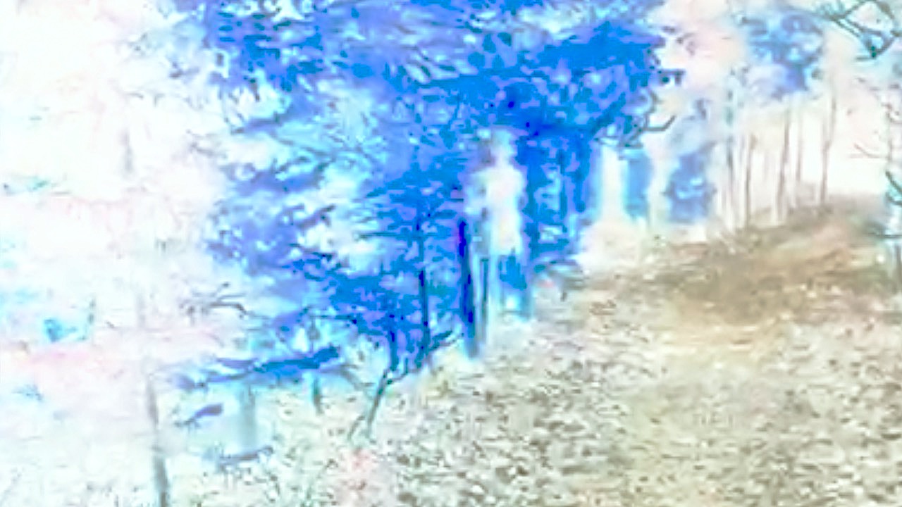 Forest serie 1-4