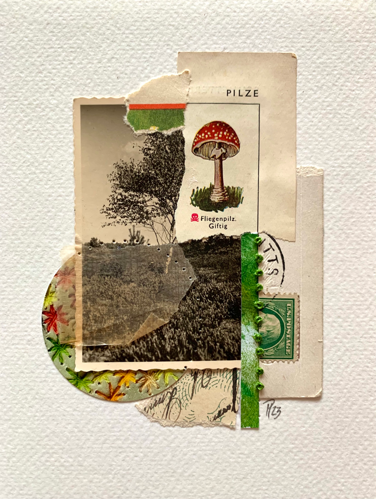 „mushroom“/Februllage2023, Collage auf Aquarellpapier (no.7/2023)
