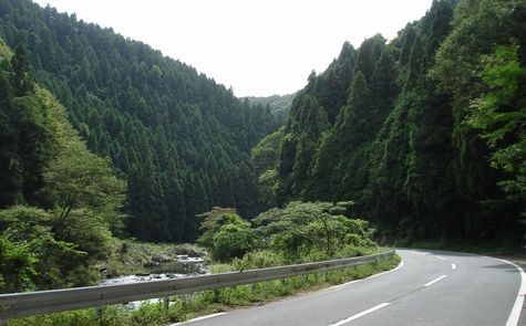 入遠野川沿いに進みます・・・