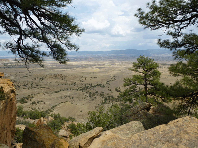 Mesa Portales, Continental Divide Trail, Jemez Mountains, pine trees, BLM land near Cuba, New Mexico