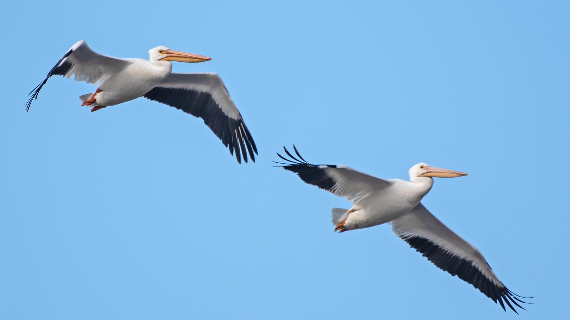 Albuquerque, October 2025