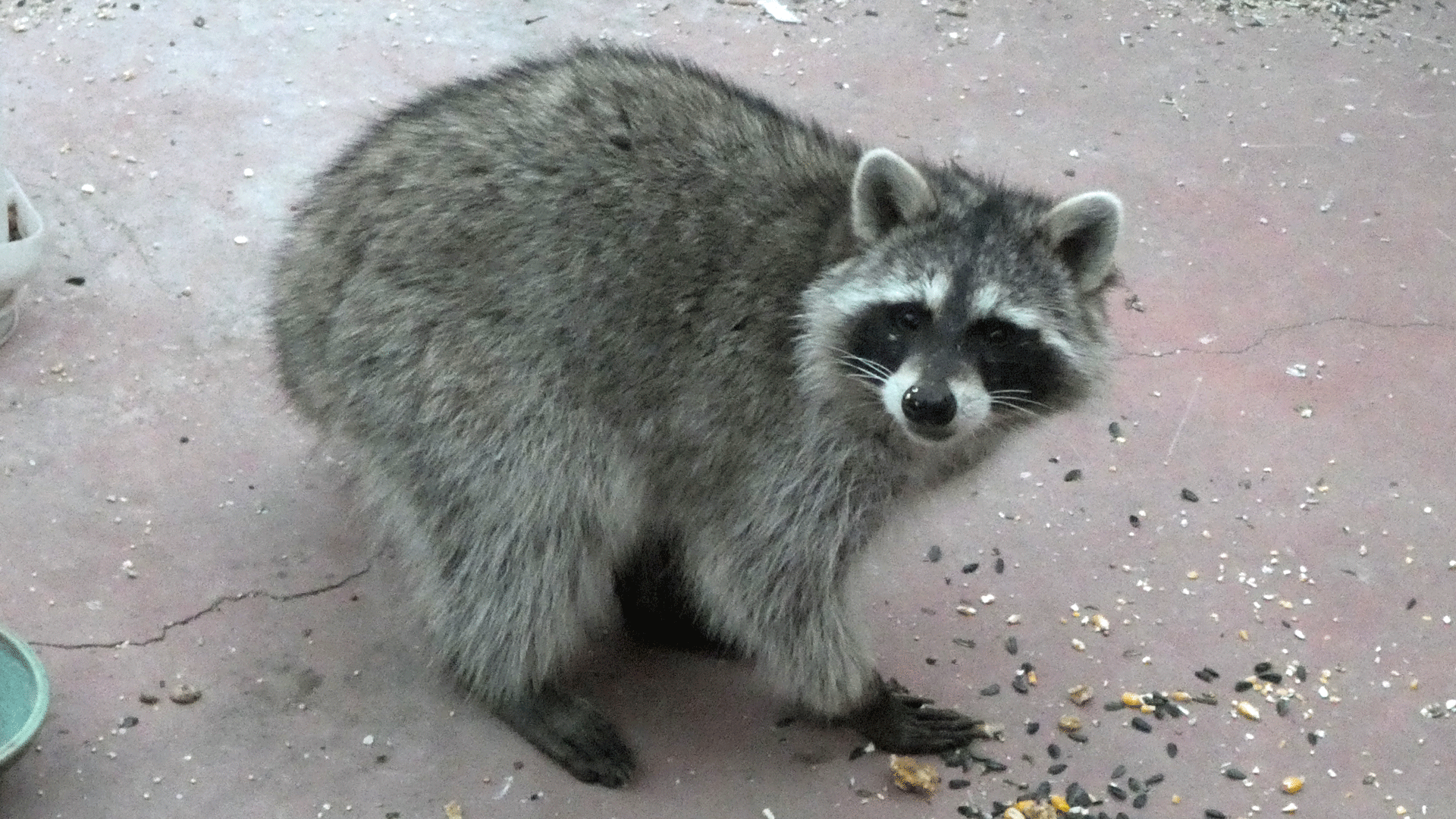 Albuquerque, October 2020