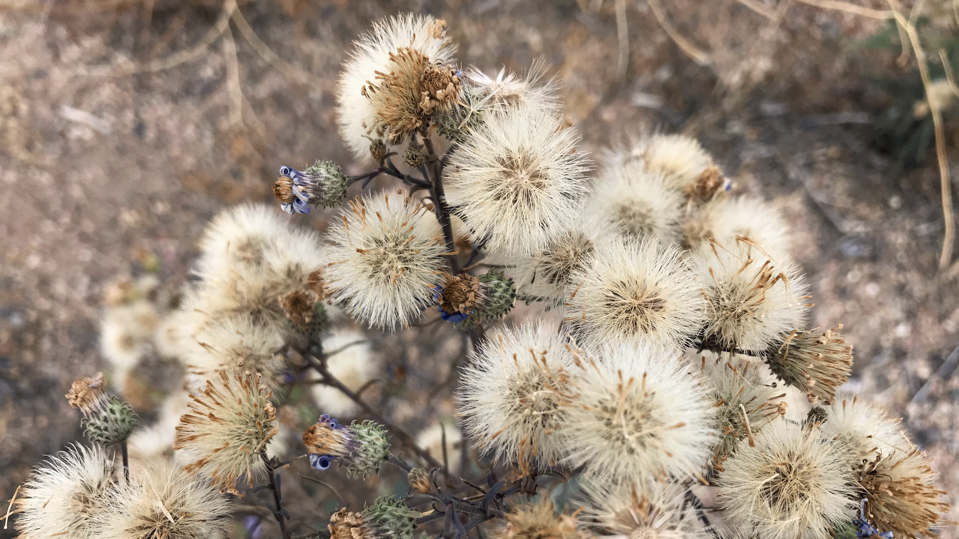 Albuquerque, November 2019