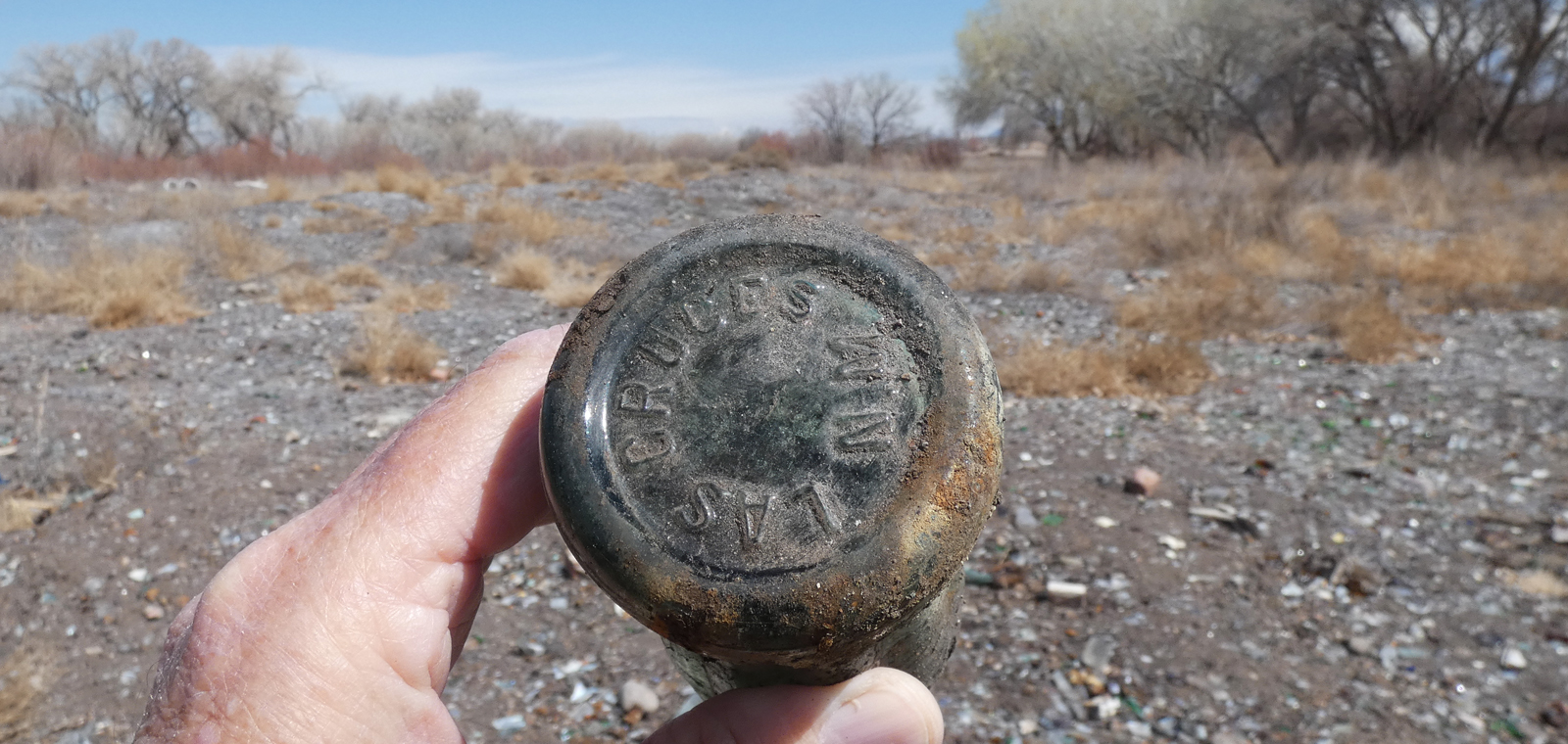 Albuquerque's Glass Garden in the Rio Grande Bosque dogofthedesert