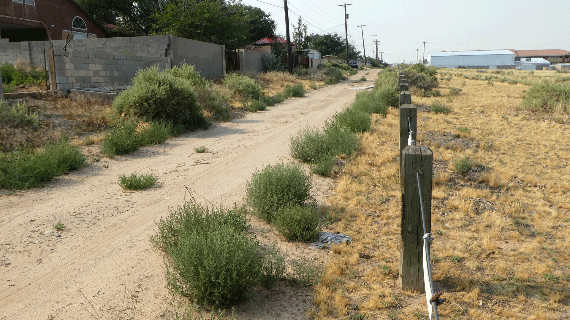 Live along alley, Albuquerque, June 2020