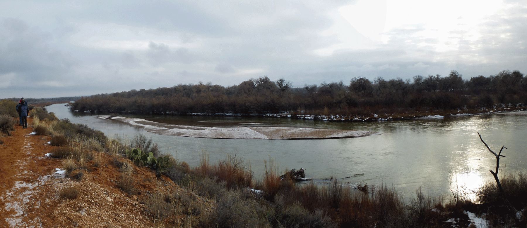 The Corrales Bosque dogofthedesert