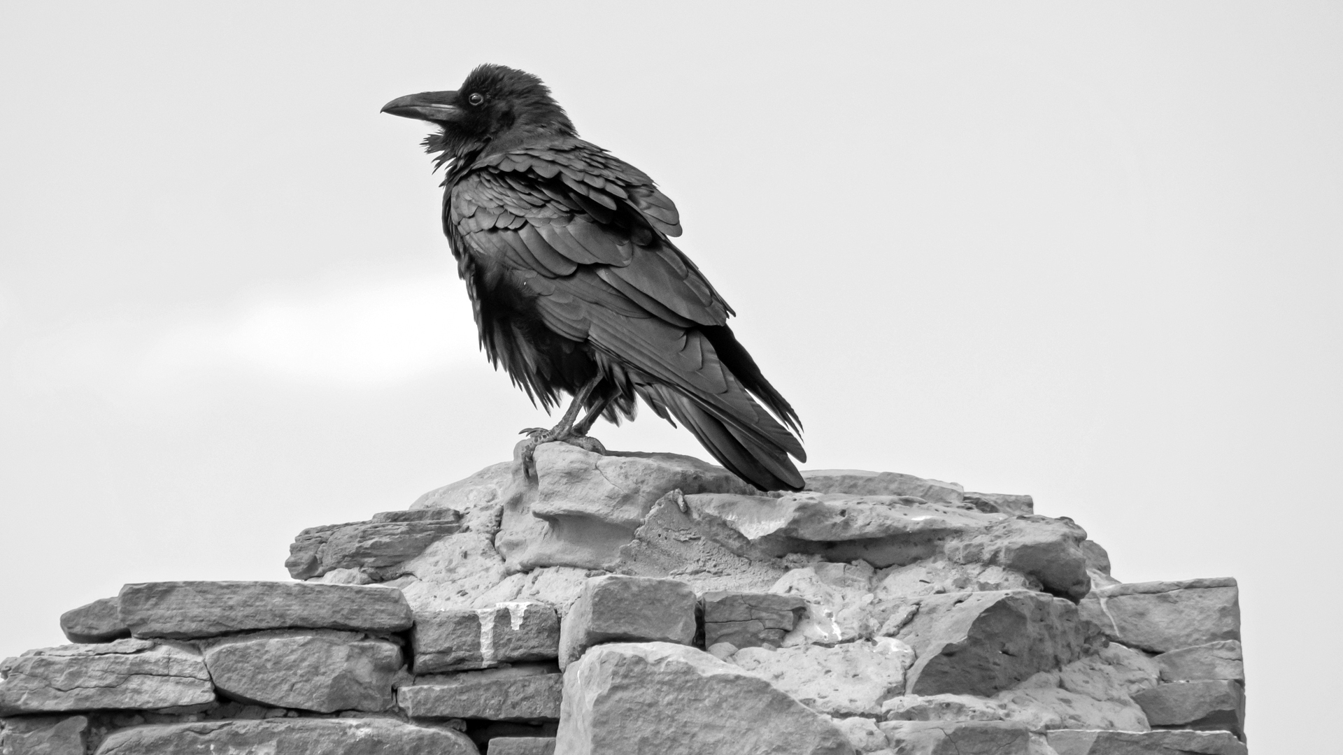 Chaco Canyon, October 2023