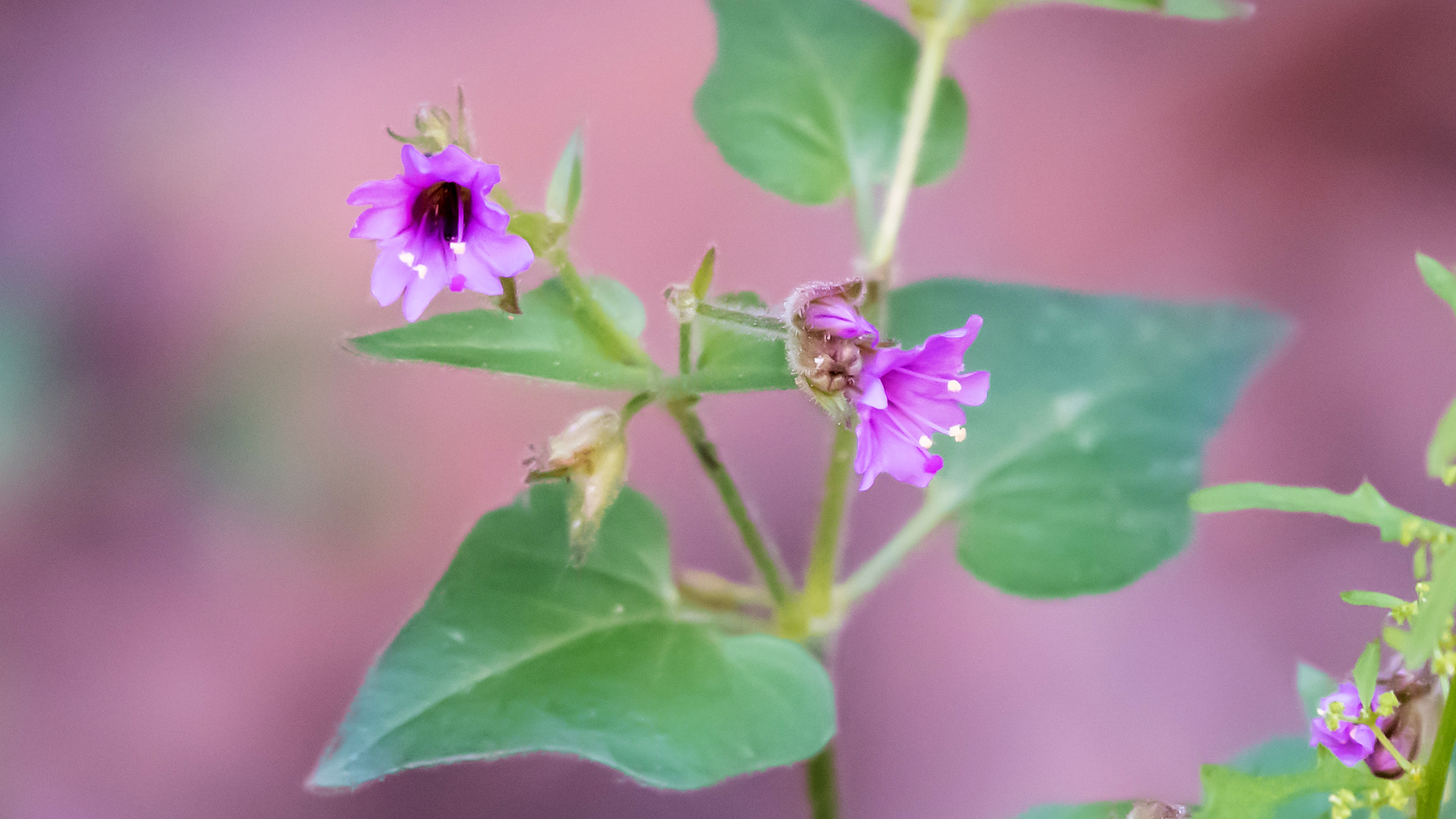 Bluewater Canyon, September 2025