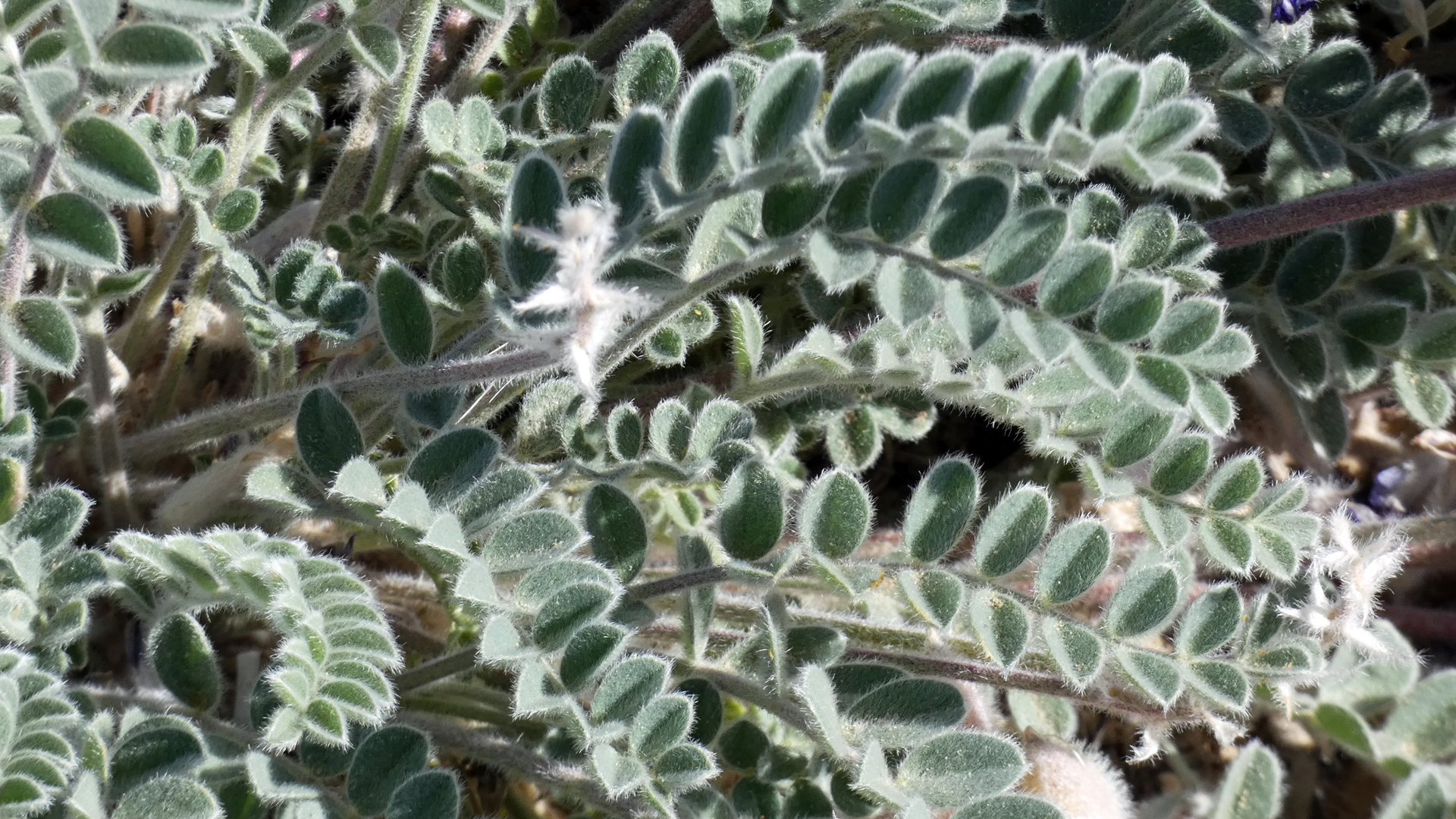 NM 259 at US 550, May 2024