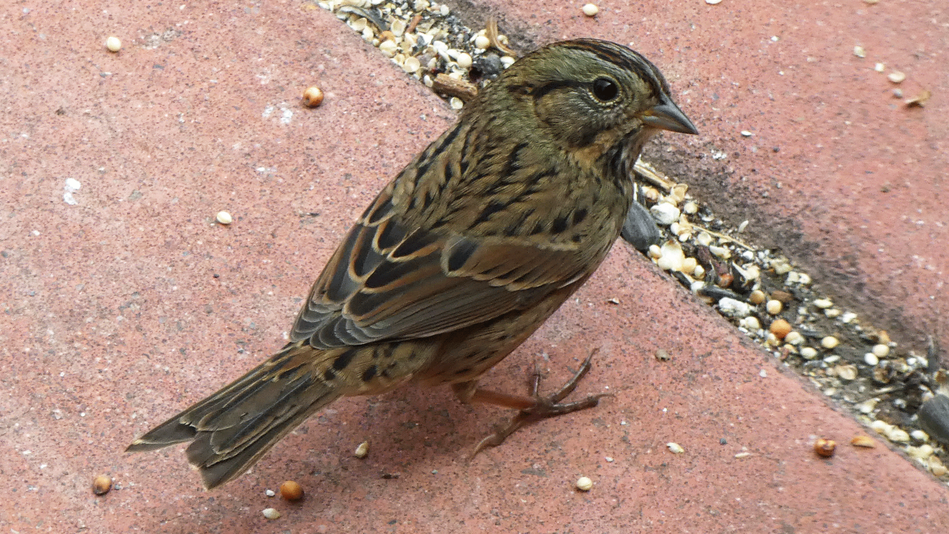 Albuquerque, September 2020