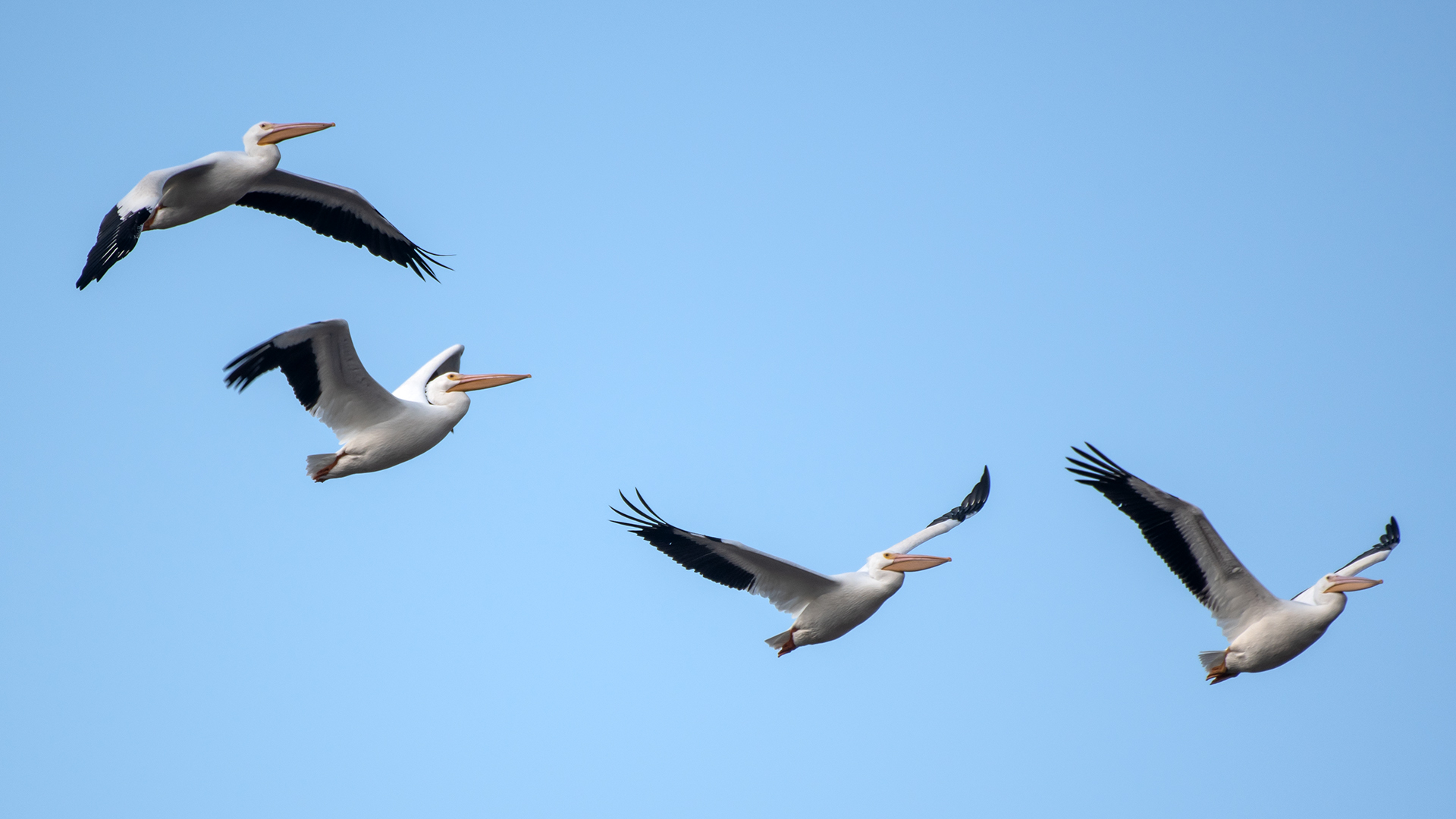 Albuquerque, October 2025